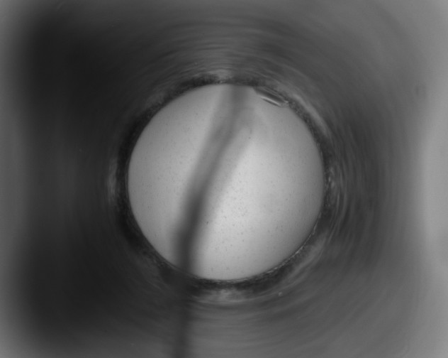 X0000087600212200705181243