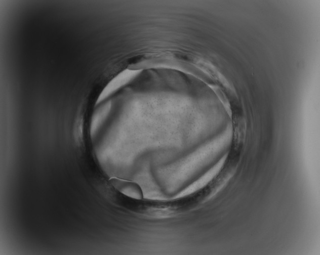 X0000087600213200705181243