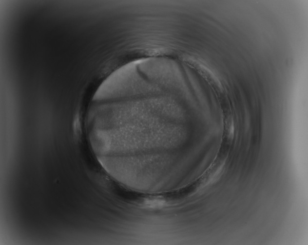 X0000087600214200705181243