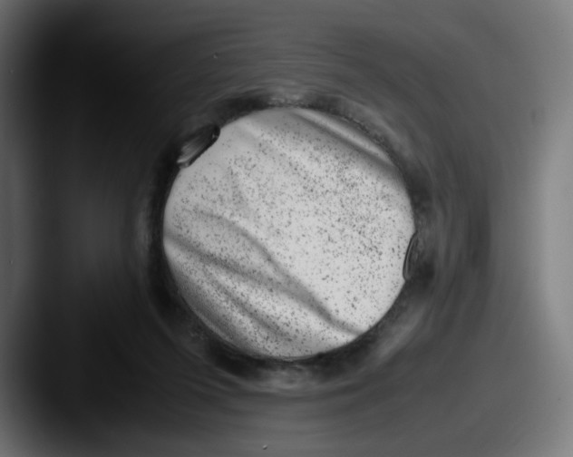 X0000087600215200705181243