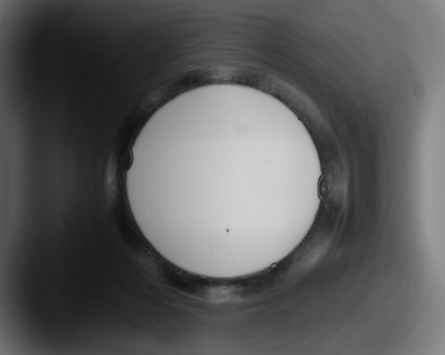 X0000087600216200705181243