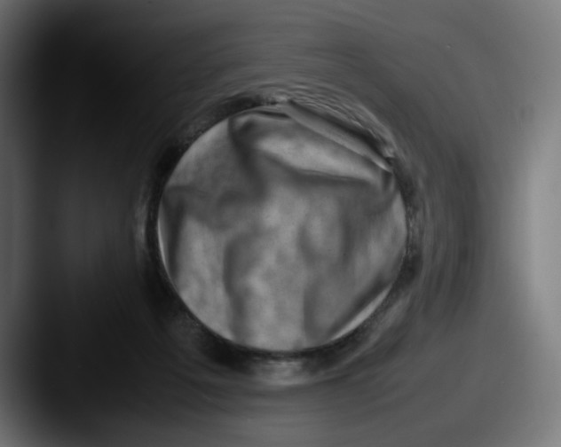 X0000087600217200705181243