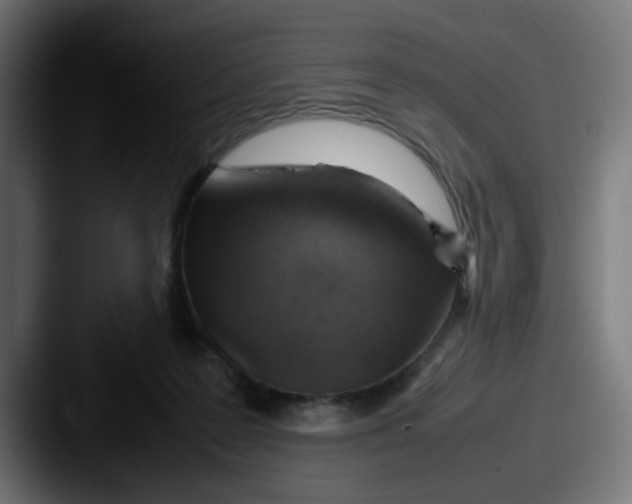 X0000087600219200705181243