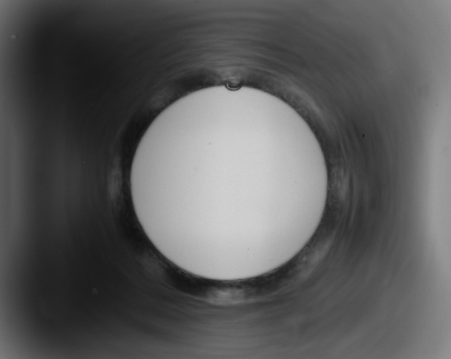 X0000087600220200705181243