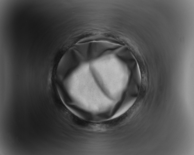 X0000087600221200705181243