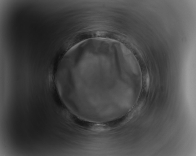 X0000087600222200705181243