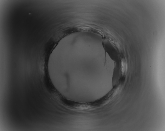 X0000087600223200705181243