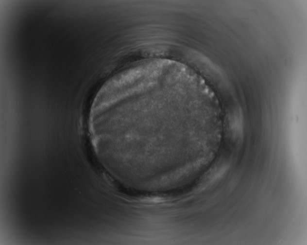 X0000087600224200705181243