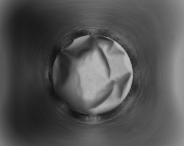 X0000087600225200705181243