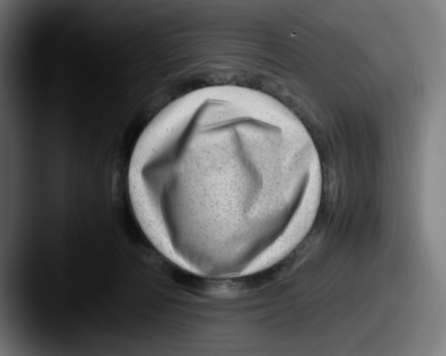 X0000087600226200705181243