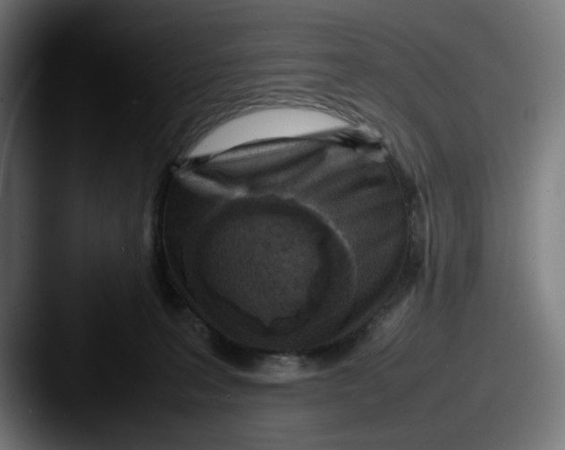 X0000087600227200705181243