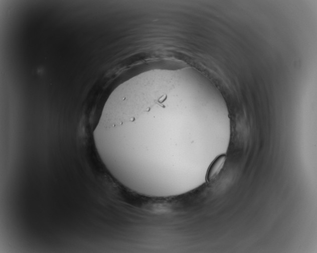 X0000087600228200705181243