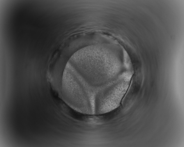 X0000087600229200705181243