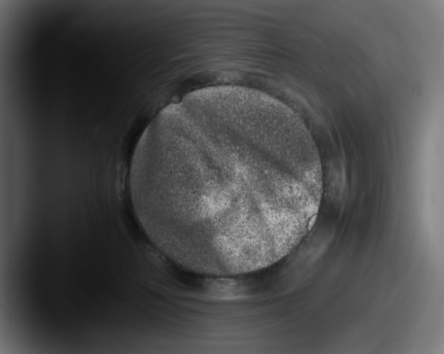 X0000087600230200705181243