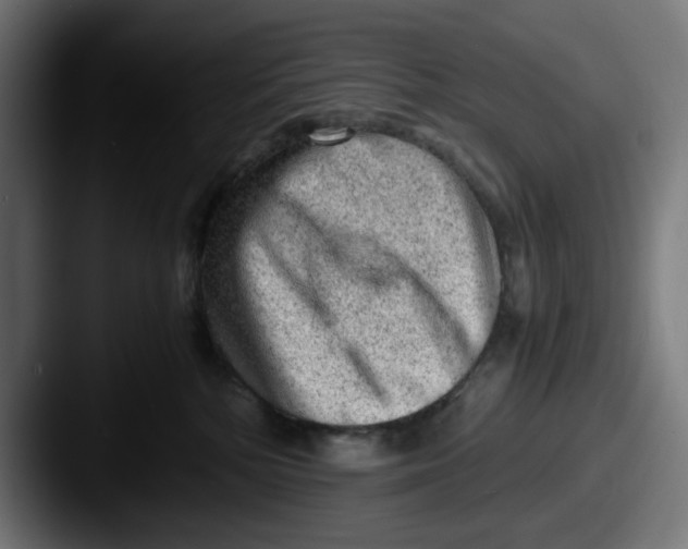 X0000087600232200705181243