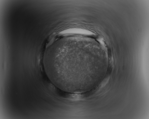 X0000087600233200705181243