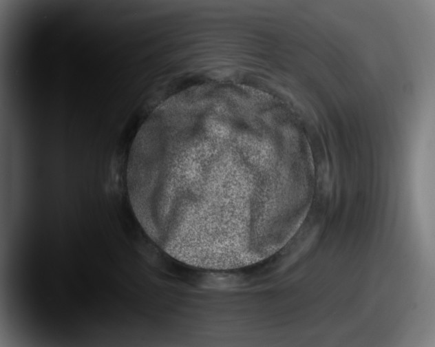 X0000087600234200705181243