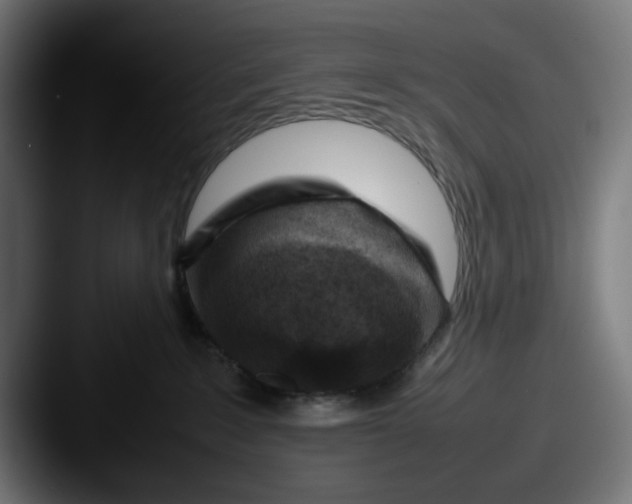 X0000087600235200705181243