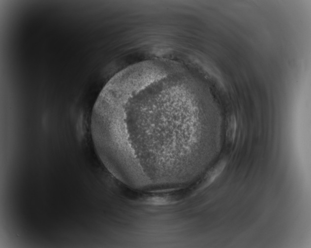 X0000087600236200705181243