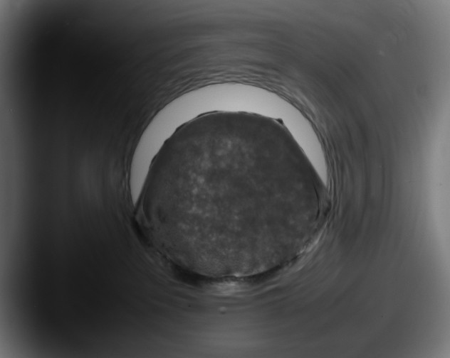 X0000087600237200705181243