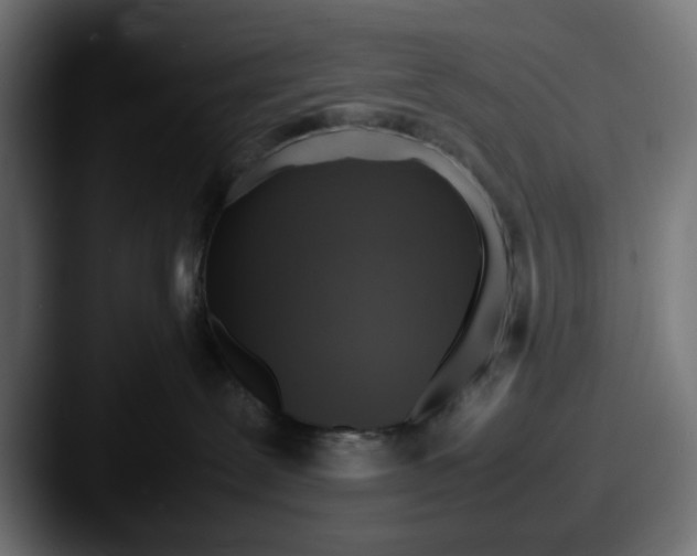 X0000087600239200705181243