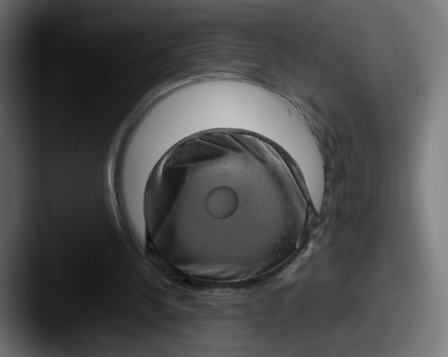 X0000087600244200705181242