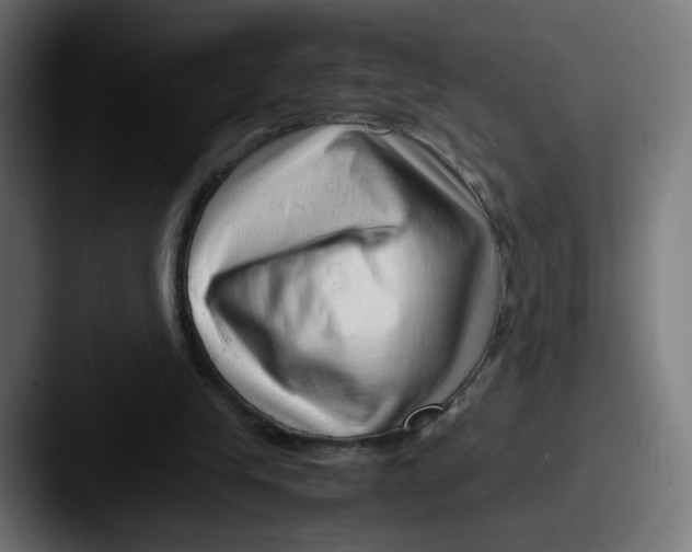 X0000087600245200705181242