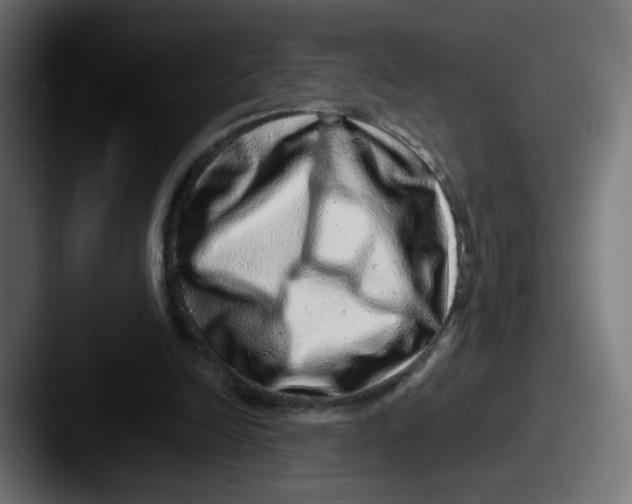 X0000087600246200705181242