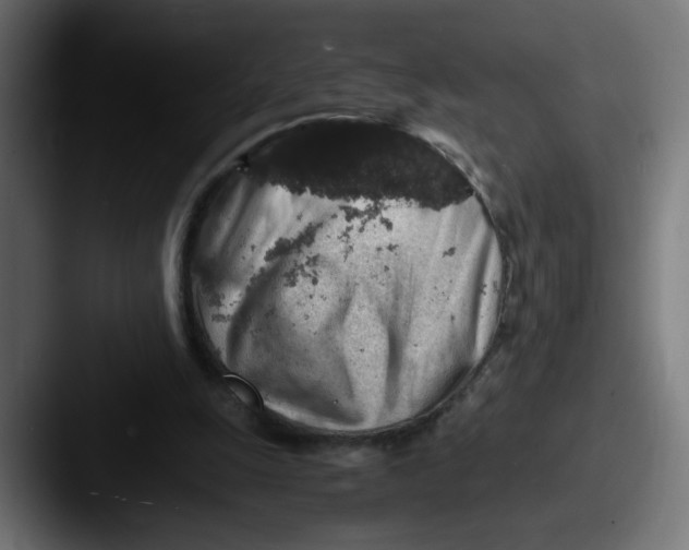 X0000087600247200705181242