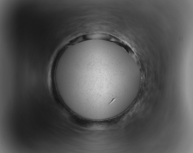 X0000087600248200705181242