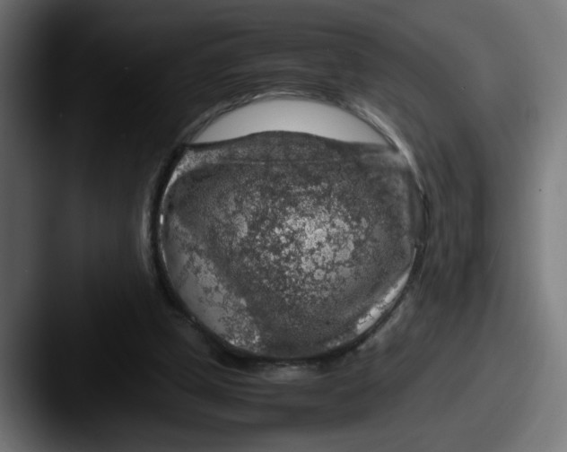 X0000087600249200705181242