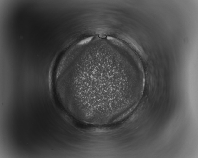 X0000087600250200705181242