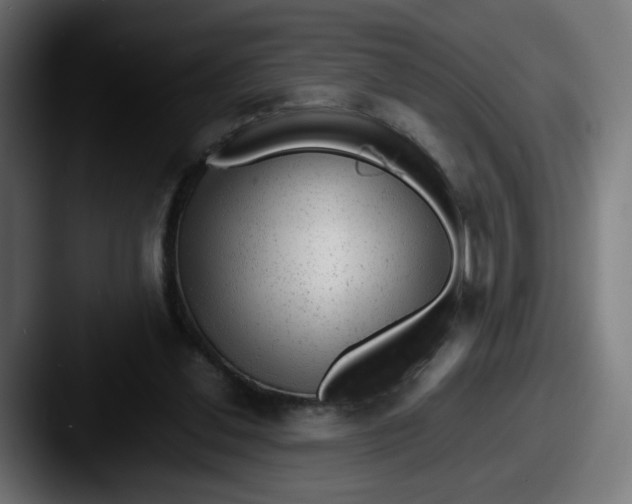 X0000087600252200705181242