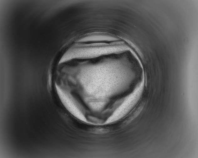 X0000087600253200705181242