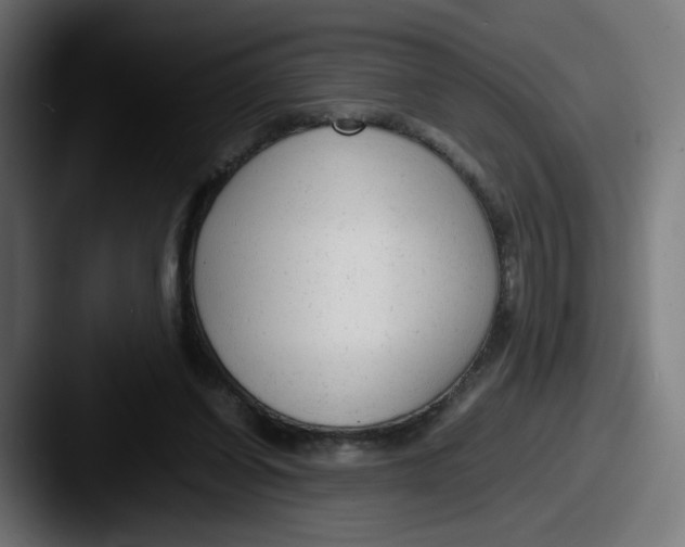 X0000087600254200705181242