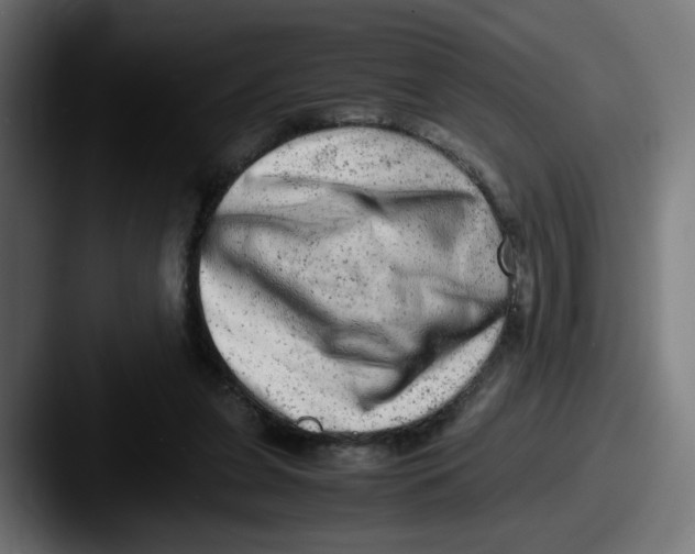 X0000087600255200705181242