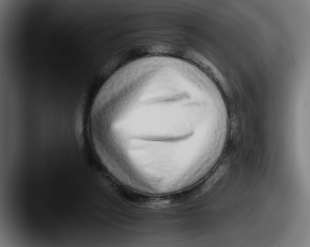 X0000087600257200705181242