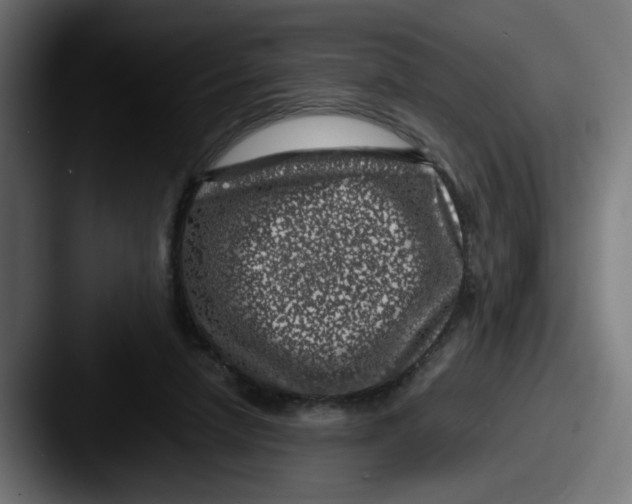 X0000087600258200705181242