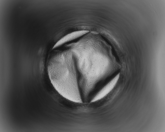 X0000087600259200705181242