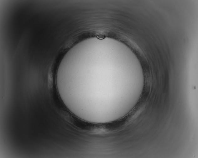 X0000087600262200705181242