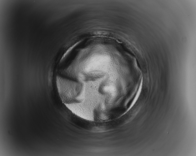 X0000087600263200705181242