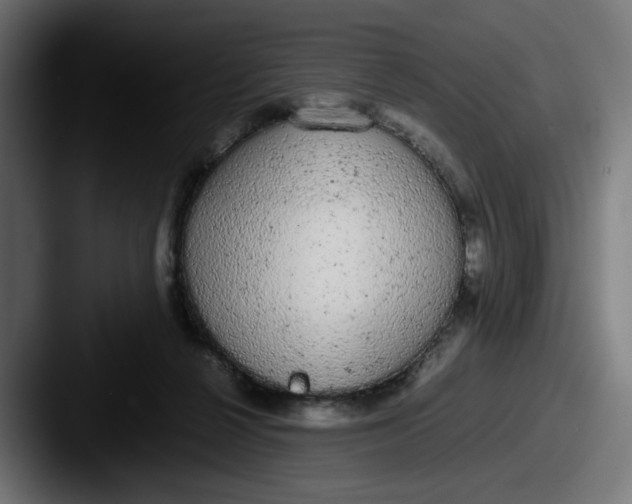 X0000087600264200705181242