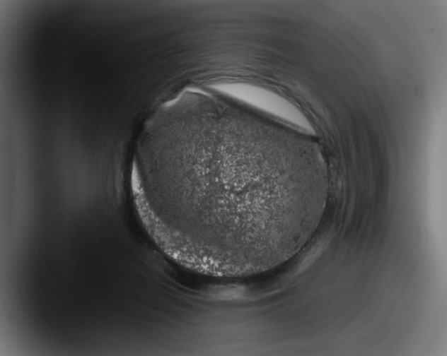 X0000087600266200705181242