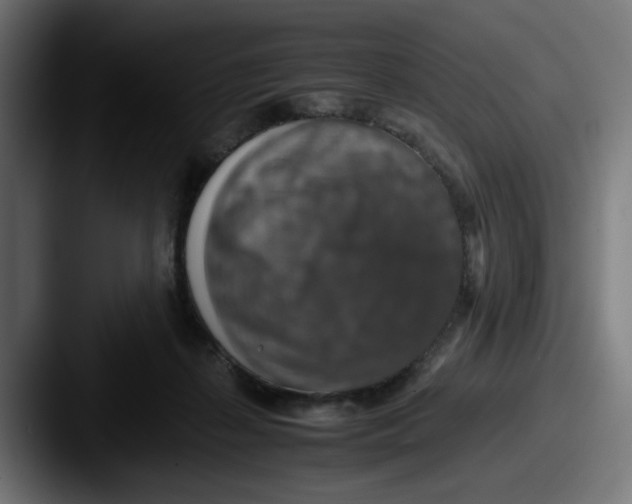 X0000087600267200705181242