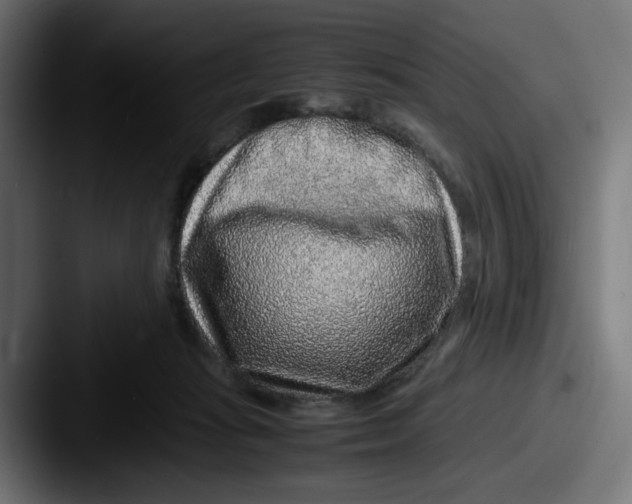 X0000087600269200705181242