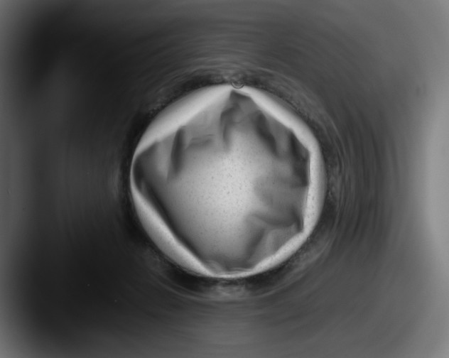 X0000087600270200705181242