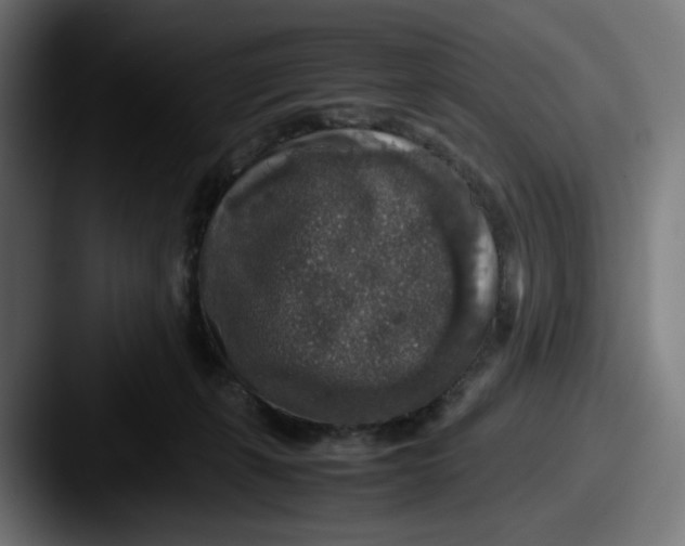 X0000087600271200705181242