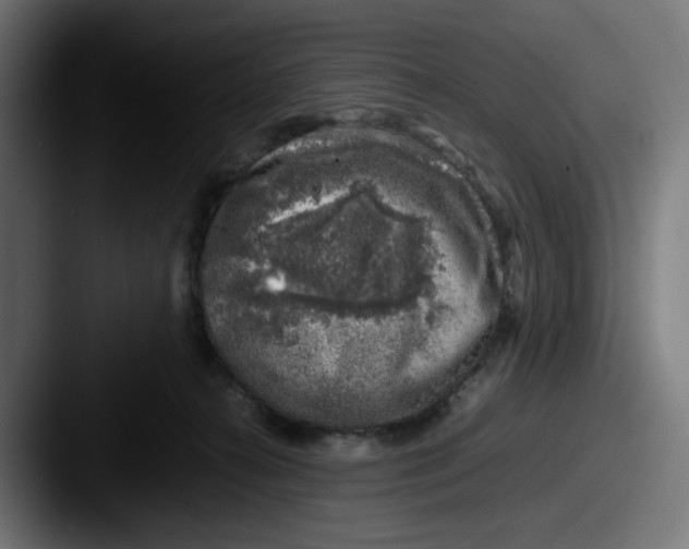 X0000087600272200705181242