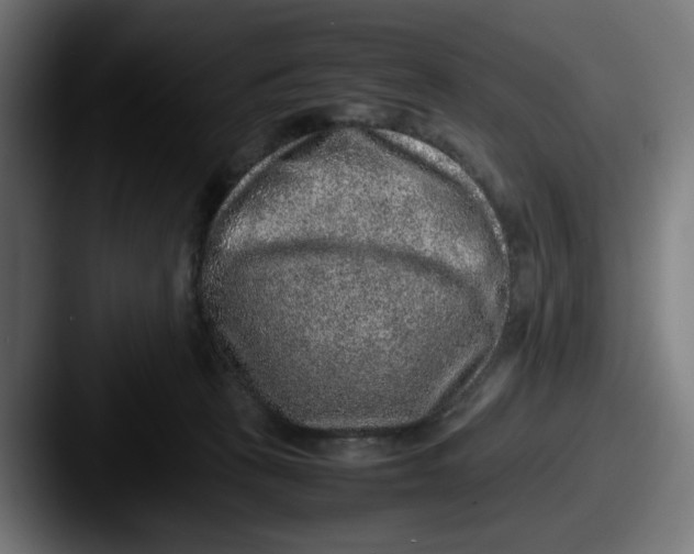 X0000087600273200705181242