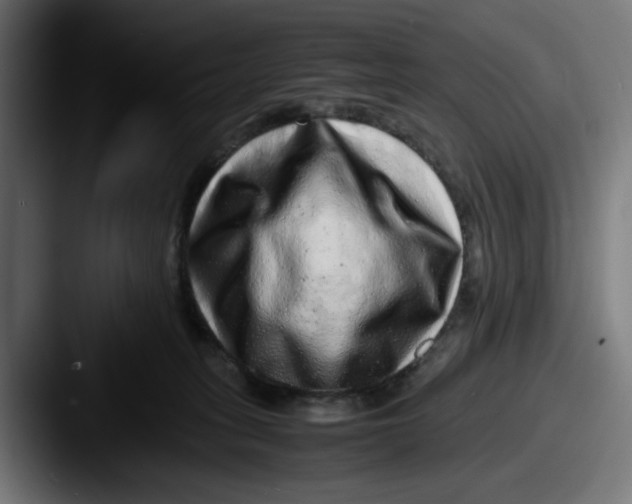 X0000087600275200705181242